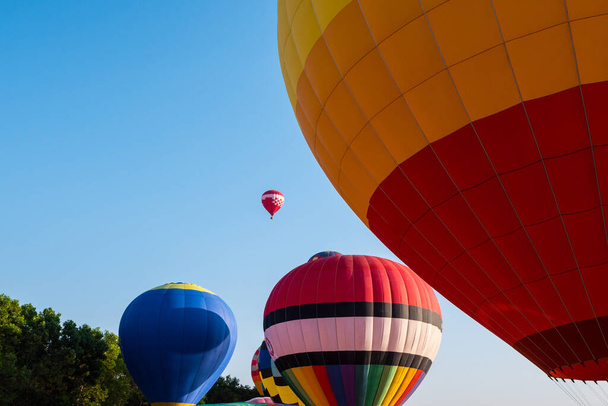 Hot Air Balloons. hot air balloon festival - Photo, Image