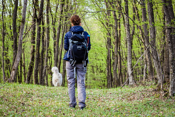 mujer trekking solo en bosque verde
 - Foto, Imagen