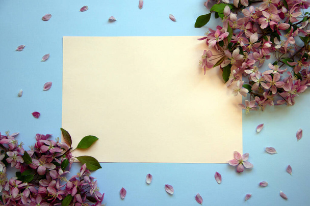Trend layout with branches of a blossoming tree, pink petals and paper card note. Flowers composition. Minimal spring concept. Flat lay. Copy space. - Photo, Image