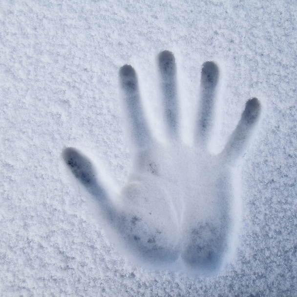 Ruční tisk ve sněhu - Fotografie, Obrázek