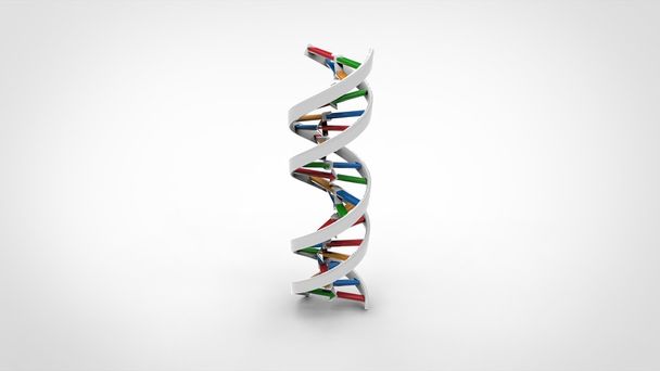ДНК подвійна спіраль - біла тверда речовина
 - Фото, зображення