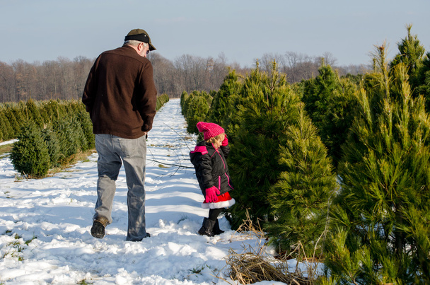 Man and Little girl at Christmas tree farm - Photo, Image