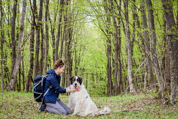 femme avec son chien dans la forêt verte
 - Photo, image