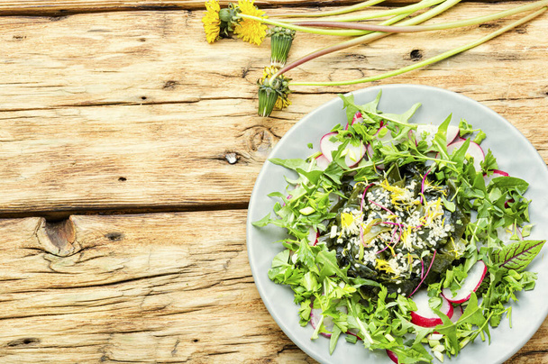 Dietary salad of seaweed, dandelion leaves,radishes and sesame seeds.Copy space - Photo, Image