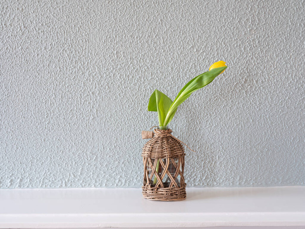 Желтый тюльпан в стеклянной вазе с тростником изолирован на зеленом фоне
 - Фото, изображение