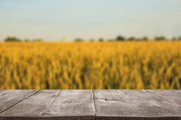 Empty wooden surface and blurred view of wheat field on sunny day. Space for text - Photo, Image