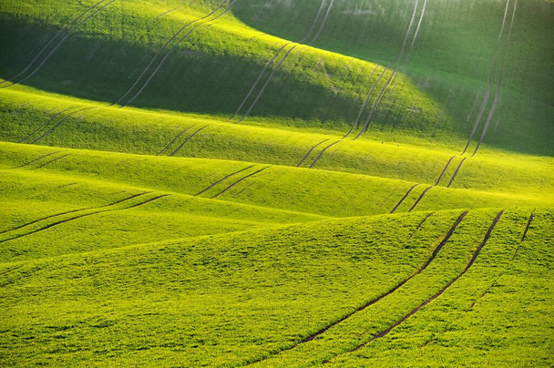 Groene lente natuur achtergrond met ondergaande zon en gras. Golven op het veld. Moravië Toscane - Tsjechië - Europa. - Foto, afbeelding