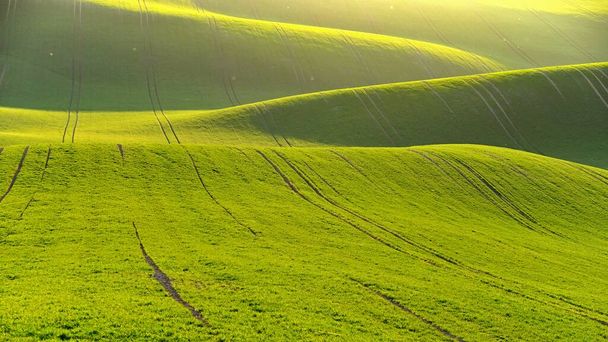 Zielona wiosna tło przyrody z zachodzącym słońcem i trawą. Fale na boisku. Morawska Toskania - Czechy - Europa. - Zdjęcie, obraz
