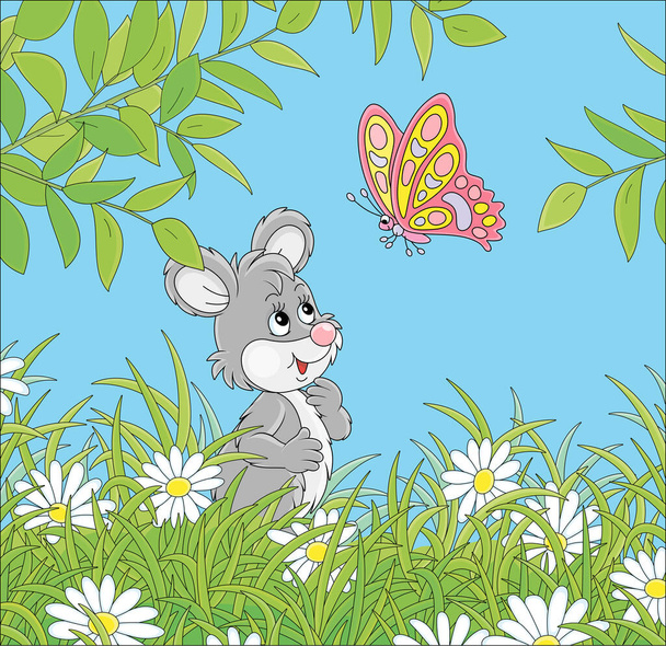 Little grey mouse friendly smiling and playing with a bright colorful butterfly flittering over white daisies hiding among green grass of a pretty summer field on a sunny day, vector cartoon illustration - Vektör, Görsel