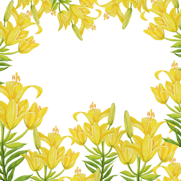 yellow lily pattern isolate object white background flower - 写真・画像
