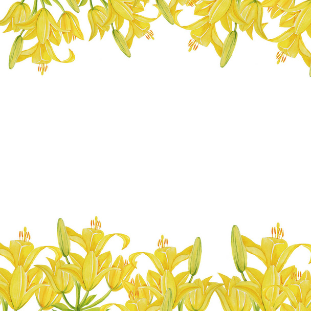 yellow lily pattern isolate object white background flower - Foto, immagini