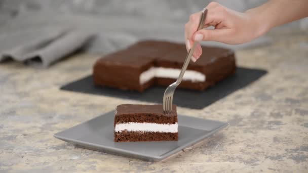 Women eating homemade piece of chocolate cake. - Séquence, vidéo
