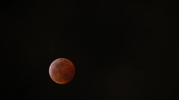 Total Lunar Eclipse 2019 Super Blood Wolf Moon Time Lapse Astrophotography - Felvétel, videó