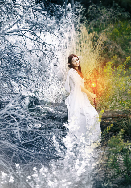 dziewczyna z elfami w białej sukience przechadza się po lesie i trzyma w rękach magiczną laskę, świecącą - Zdjęcie, obraz