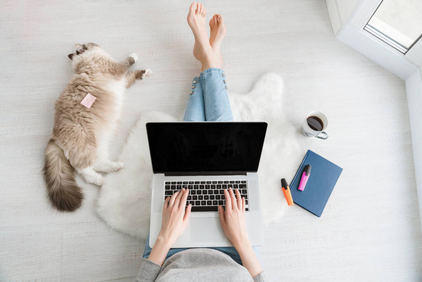 Una joven en pantalones vaqueros azules descalza con un portátil sentado en un piso de madera blanca con una alfombra mullida blanca está trabajando en casa y un gato está acostado junto a su vista superior
 - Foto, imagen