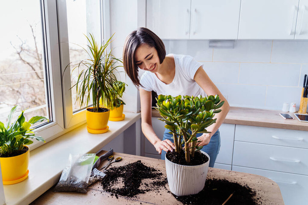 Beautiful smiling girl with braces replanting a indoor flower. Wearing a white T-shirt and blue jeans, messing with the ground in a white kitchen - pouring dirt, leveling, tamping. Caring of her plant - Photo, Image