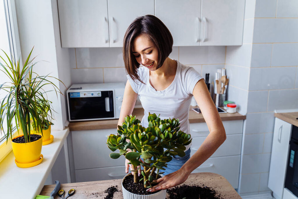 Beautiful smiling girl with braces replanting a indoor flower. Wearing a white T-shirt and blue jeans, messing with the ground in a white kitchen - pouring dirt, leveling, tamping. Caring of her plant - Foto, Imagen