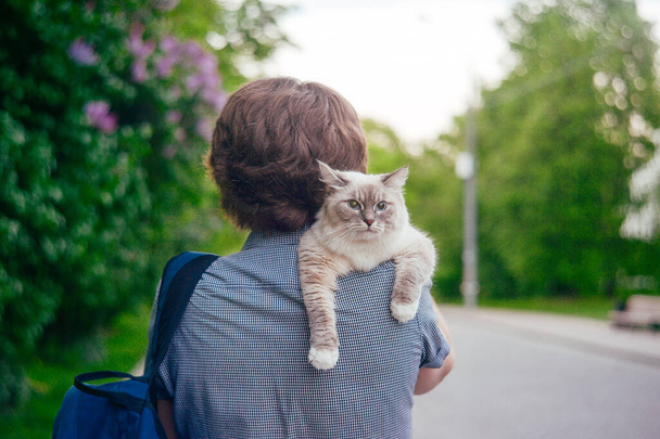 Ένας άντρας με μια γάτα για μια βόλτα στο πάρκο - Φωτογραφία, εικόνα