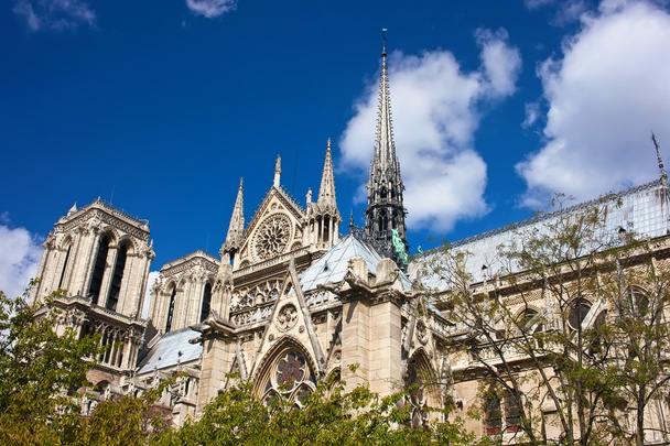 Notre Dame w Paryżu - Zdjęcie, obraz