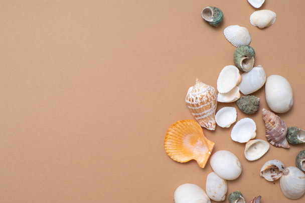 Different seashells on a ochre color background , the concept of holidays by the sea. - Фото, изображение