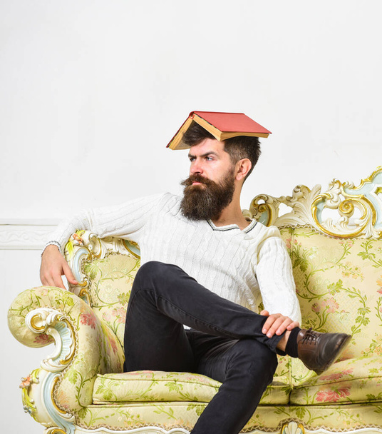 Macho sits with open book on head, like roof. Man with beard and mustache sits on sofa, white wall background. Overwork concept. Guy, teacher overdid with teaching, became crazy professor. - Foto, imagen