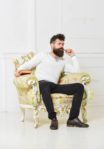 Lecturer sit on armchair and holds book, white wall background. Intelligent concept. Man with beard and mustache spends leisure with book. Scientist, professor on thoughtful face analyzing literature. - Photo, image