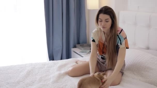 Woman play with dog at home on bed - Filmati, video