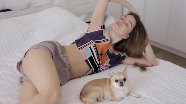 Woman ironing dog at home on bed - Кадри, відео