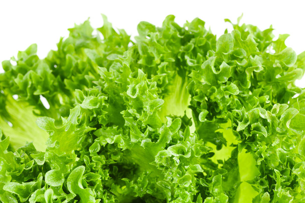 Vihreän salaatin lehtien lähikuva valkoisella pohjalla
 - Valokuva, kuva