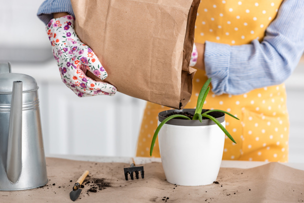 Cropped view of woman with paper bag putting ground to flowerpot with aloe near watering pot and gardening tools on table in kitchen - Foto, immagini