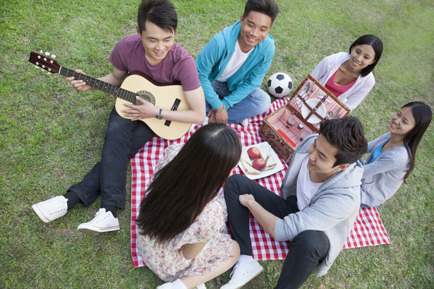 sechs Freunde beim Picknick - Foto, Bild