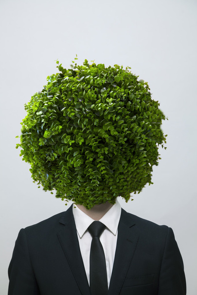 Homme d'affaires avec un buisson circulaire obscurcissant son visage
 - Photo, image
