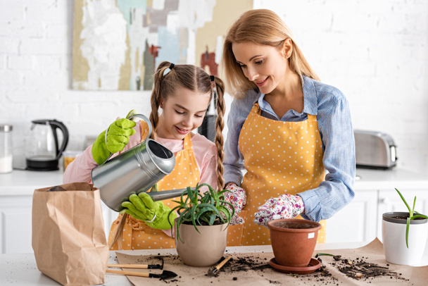 Lindo niño riego aloe con madre cerca de la mesa con bolsa de papel, herramientas de jardinería y macetas en la cocina
 - Foto, Imagen