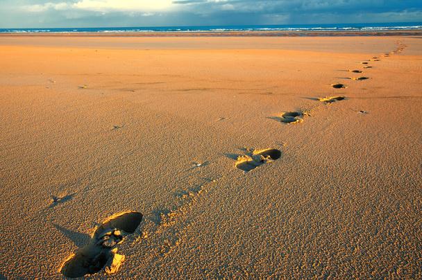 сліди на пляжі
 - Фото, зображення