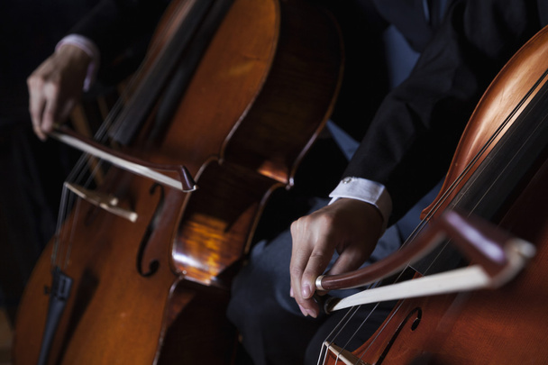 Cellists playing the cello during a performance - Foto, imagen