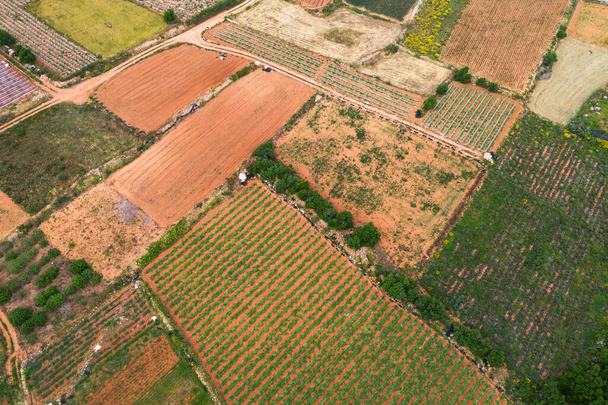Antenni ylhäältä näkymä maatalouden aloilla. Luonto maaseutu maisema, rakenne
 - Valokuva, kuva