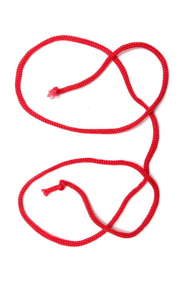 白い背景に孤立した赤いロープ. - 写真・画像