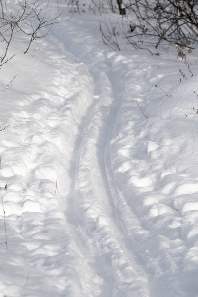 Pista da sci sulla neve, natura invernale
. - Foto, immagini