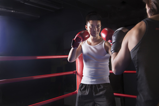 Dos boxeadores masculinos preparándose para boxear
 - Foto, Imagen