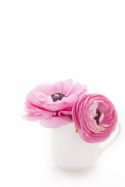 Jasny kwiat Jaskry, wstawiony do kubka - Zdjęcie, obraz