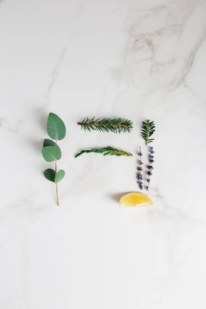 Minimal background with eucalyptus, lavender, lemon, green tree, fir at white background. Top view, flat lay, copy space for text. Concept of stylish minimal picture for greeting card - Foto, afbeelding