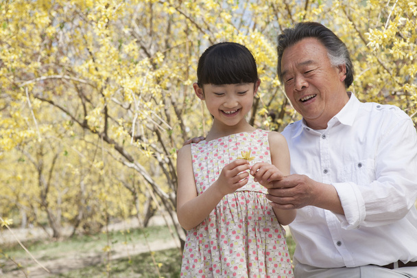 χαμογελαστό κορίτσι και τον παππού κοιτάζοντας ένα λουλούδι - Φωτογραφία, εικόνα