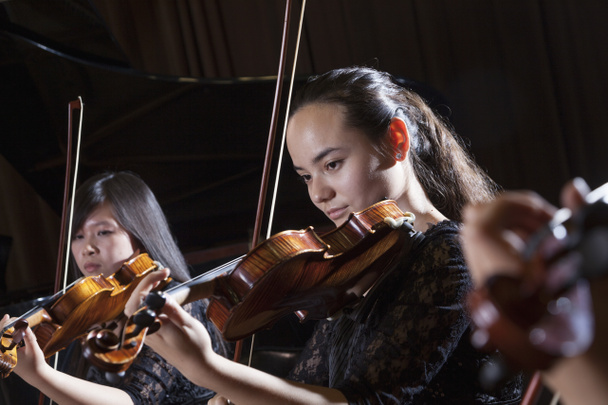 Violinisti che suonano durante una performance
 - Foto, immagini