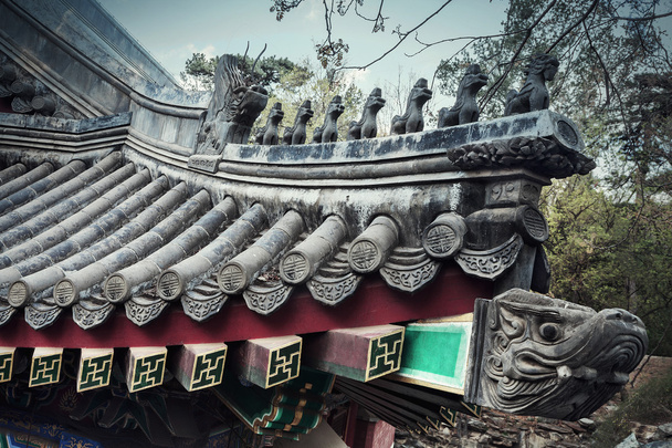 sierlijke dakpannen op chinese gebouw - Foto, afbeelding
