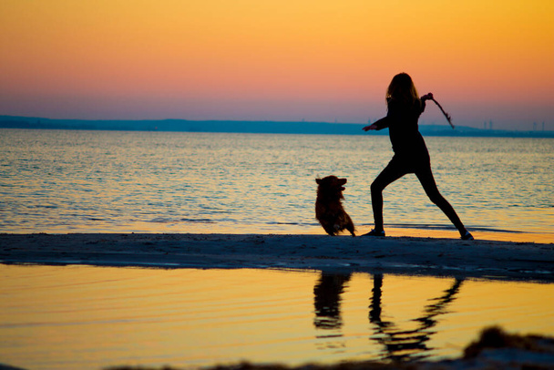 A girl throwing stick for Toller dog with a sunset in the background. - Foto, Imagen