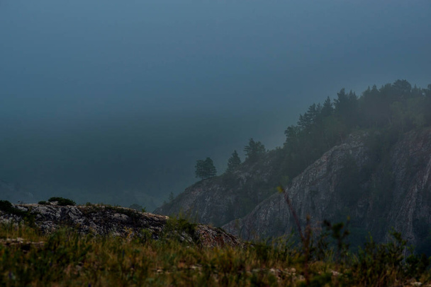 misty summer dawn in the low mountains - Foto, afbeelding