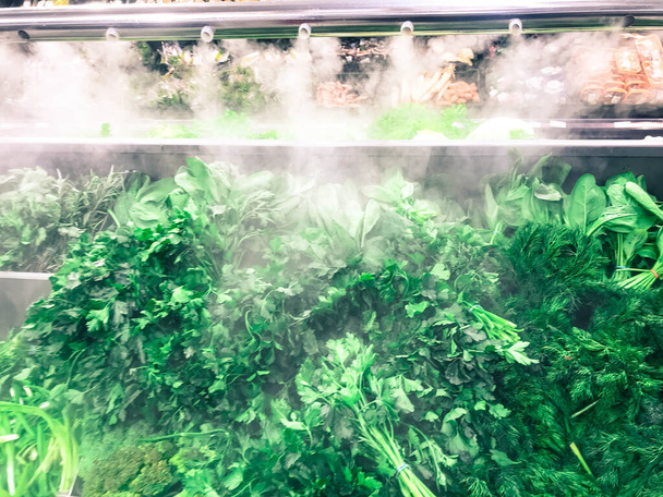 Çevre dostu yeşil yeşil maydanoz bitkileri dereotu salatası roka soğanı ve diğer bitki gıdaları tezgahın üzerindeki süpermarketteki modern bir buzdolabında bulunur. Arkaplan - Fotoğraf, Görsel