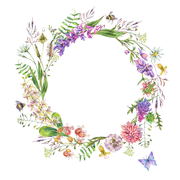 Вінтажний акварельний літній фіолетовий луговий вінок з дикими квітами. Ботанічна квіткова кругла рамка на білому тлі, природні об'єкти. Лікарські квіти ілюстрація
 - Фото, зображення