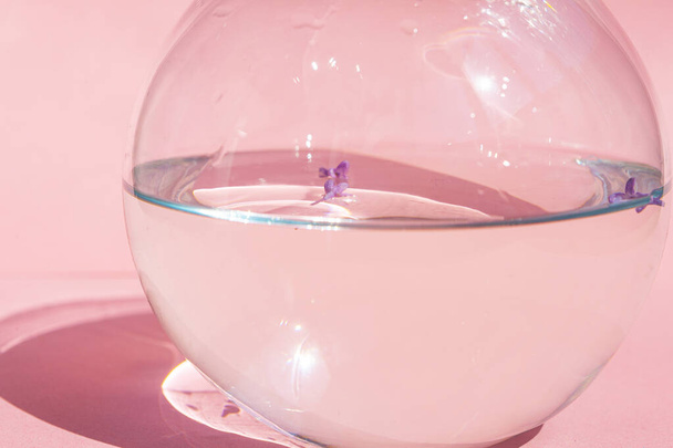 Lilac flowers float in the water. Purple and pink flowers in a glass vase. On a pink background - Foto, imagen