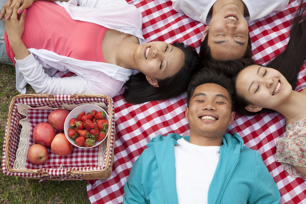 Freunde beim Picknick auf dem Rücken liegend - Foto, Bild